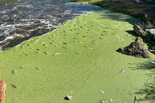 El cambio que ilusiona a los vecinos de Areco tras la denuncia a una empresa