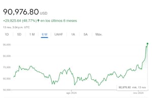 La cotización de bitcoin en los últimos seis meses; al mediodía del 13 de noviembre superó los 91.000 dólares