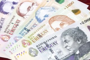 A cuánto cotiza el peso uruguayo oficial y el blue este lunes 12 de enero