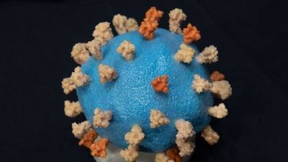 La Covid-19 puede convertirse en una enfermedad endémica como la gripe.