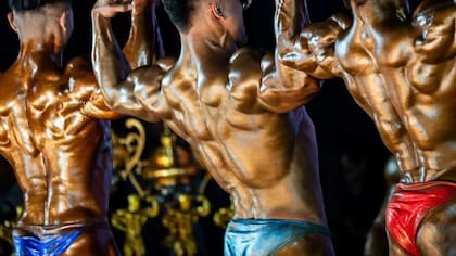 La creatina se almacena principalmente en el tejido muscular y el cerebro, donde ayuda a proporcionar un suministro de energía de fácil acceso