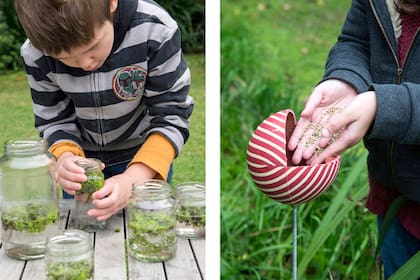 La creatividad es parte de la experiencia en la naturaleza. Criar plantas en agua o generar una casita improvisada para que las plantas acudan a comer.