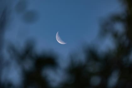 La creencia esotérica afirma que los ciclos lunares tienen una influencia directa en el cabello; cafa etapas funciona para distintos tratamientos