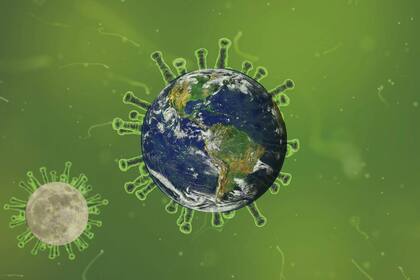La crisis del coronavirus proporciona una oportunidad para generar un cambio estructural, reemplazando los hábitos de producción, distribución y consumo que hoy afectan a la biodiversidad por otros más sostenibles.