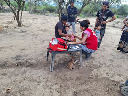 La Cruz Roja Argentina existe desde el 10 de junio de 1880