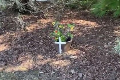 La cruz se encuentra en el jardín residencial y mide aproximadamente 30 centímetros