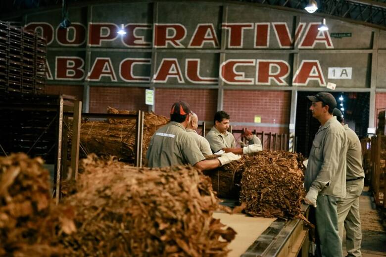 A pesar la devaluación, el tabaco misionero sigue “fugándose” a Brasil y persisten las asimetrías