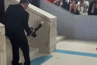 Un insecto para no olvidar