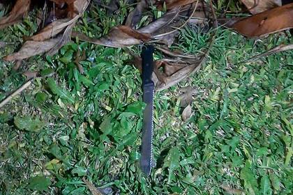 La cuchilla que tenía Chano el día de los hechos, según una testigo