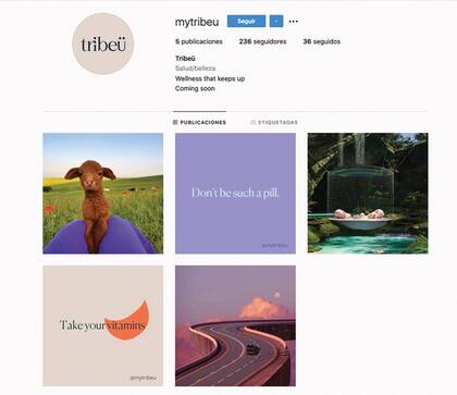 La cuenta de Instagram de Tribeü, su nuevo proyecto.
