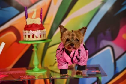 La cuenta de TikTok de Lola cuenta con más de cuatro millones de seguidores