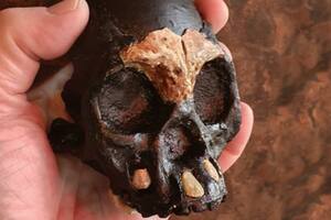 Descubren restos fósiles de un niño en la cueva de los Homo naledi