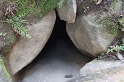 La cueva donde fue encontrada el Eburnocauda saxatilis. (Revista autraliana de taxonomía)