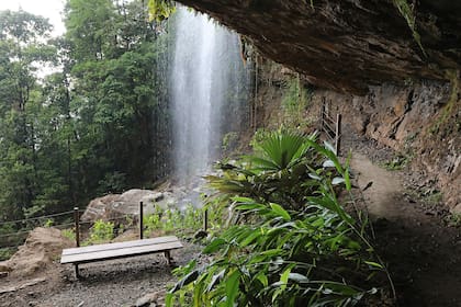 La cueva espera tras una cascada en plena selva