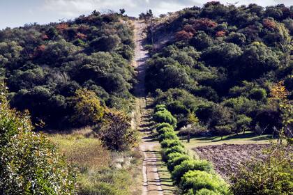Las víctimas pasan sus vacaciones en Córdoba