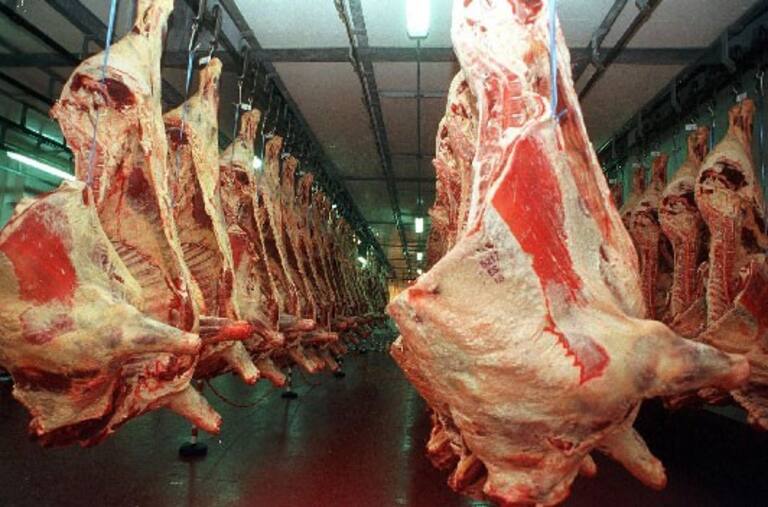 Casi US$40 millones menos: la Argentina incumplirá una preciada joya de exportación de carne a Europa