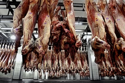 En agosto ingresaron por la carne casi US$300 millones