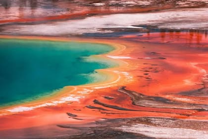 La curiosidad conectó los hermosos paisajes de Yellowstone con la lucha contra la pandemia