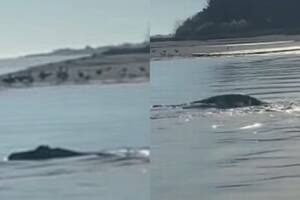 La curiosidad sobre la posible aparición del monstruo del Lago Ness