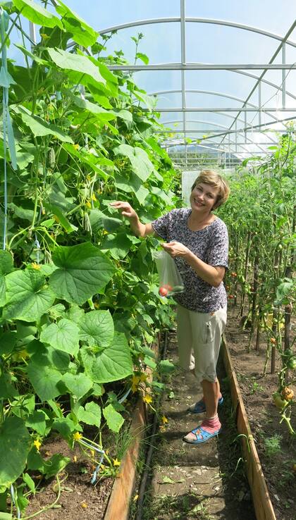 La "dacha", casa de fin de semana o quinta, toda una institución rusa