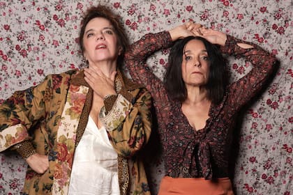 La débil mental, de Ariana Harwicz, dirigida por Cristina Banegas y Cármen Baliero, con Ingrid Pelicori y Claudia Cantero