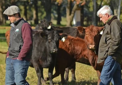 La decisión es clave para la asociación