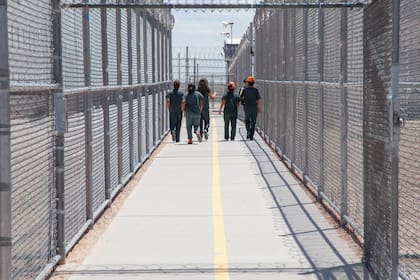 La defensa legal aseguró que mientras la embarazada se encontraba bajo custodia del ICE no recibió la asistencia médica adecuada