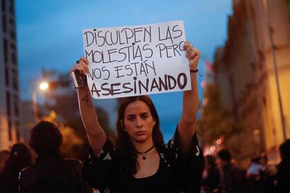 La Defensoría del Pueblo porteño informó que "verificará el dispositivo de seguridad desplegado por el Gobierno" durante la marcha y que "supervisará el desarrollo de la manifestación".