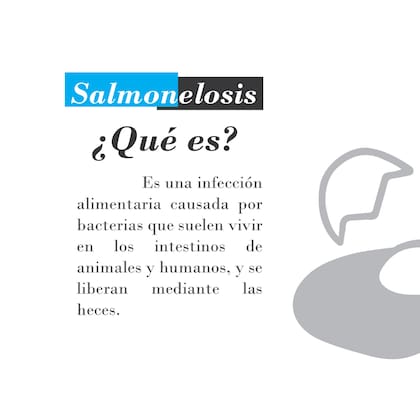 La definición de la salmonelosis que ofrece el SENASA