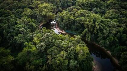 La deforestación en el Amazonas cayó en su nivel más bajo en nueve años