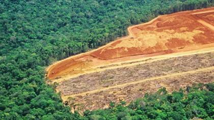 La deforestación en la Amazonía brasileña batió un nuevo récord en enero, con 430 kilómetros cuadrados de vegetación nativa perdida, cinco veces más que el área talada en el mismo mes del año pasado