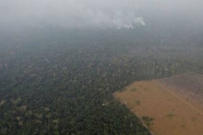 La deforestación ha contribuido a que la selva sea más inflamable