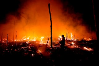La degradación forestal acecha en la Amazonía brasileña pese a avances contra la deforestación