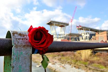 Una rosa como recordatorio de las víctimas, cerca del puente Morandi