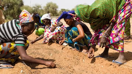 La desertificación puede obligar a 250 millones de personas a movilizarse a otros países por la pérdida de los suelos fértiles