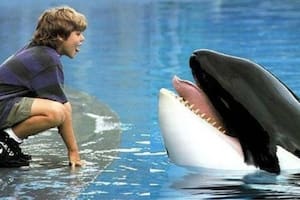 La desgarradora historia de lo que pasó con la orca Keiko tras protagonizar Liberen a Willy