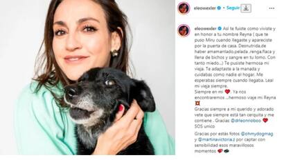 La despedida de Eleonora a su perra. Fuente: Instagram
