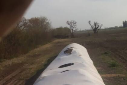 La destrucción de un silo bolsa cuyo contenido es grano de soja y el posterior robo de unos 10.000 kilos de soja