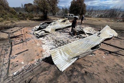 La destrucción del hogar fue total_ las gallinas del emprendimiento avícola fallecieron