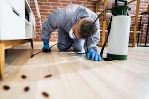 La detección de huevos de cucarachas es clave para evitar su reproducción.