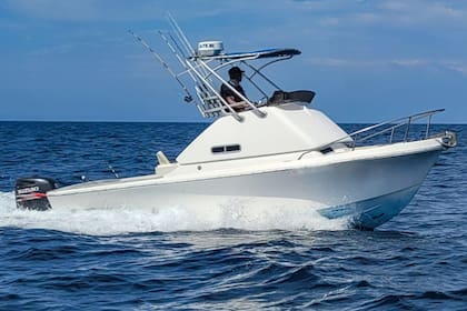 La detención inicial activó un despliegue federal con apoyo aéreo