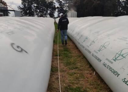 La DGI interdictó 1467 toneladas de maíz en un establecimiento agrícola de la localidad bonaerense de Azul
