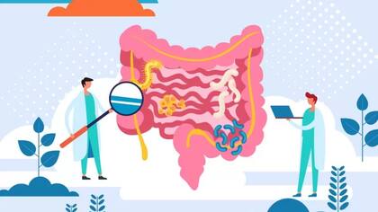La diarrea es un movimiento intestinal que aumenta la frecuencia de la defecación, modifica la cantidad y la consistencia de las heces y puede ir acompañada de dolor abdominal y deshidratación