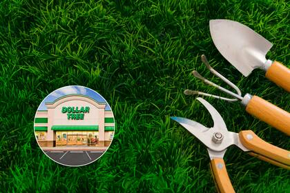 La diferencia de precios entre el cultivador de Dollar Tree y el de Amazon pone en duda si realmente es necesario gastar más en herramientas de jardinería básicas
