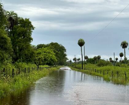 La difícil situación que atraviesan los ganaderos correntinos desde hace tiempo parece no tener fin. De una feroz y tremenda sequía, la crecida del Paraná y ahora, con la llegada de El Niño, lluvias torrenciales