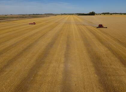La digitalización permite integrar procesos para tomar decisiones