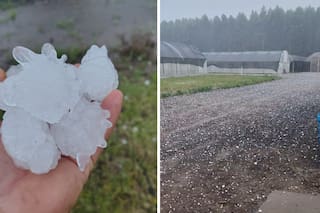 Una intensa granizada causó daños millonarios en viveros cítricos y viñedos de Entre Ríos
