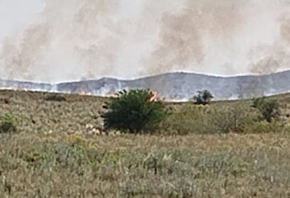 La dinámica del viento es otro factor determinante, explicó Mendiara