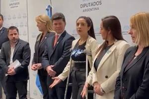 La diputada Agustina Propato con la remera de las islas Malvinas con la bandera argentina que generó la polémica. Foto: captura