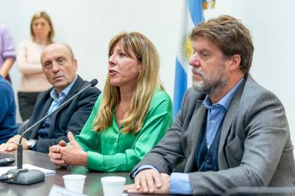 La diputada bonaerense Silvina Vaccarezza presentó su proyecto de ley